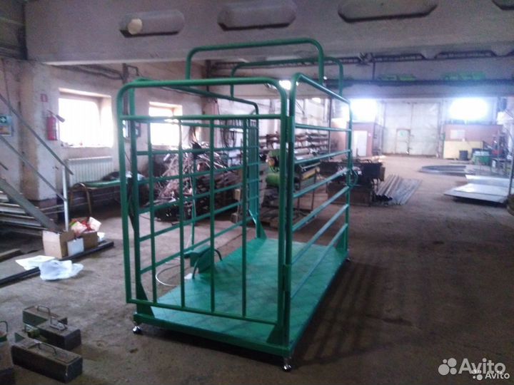 Весы для крс, Телят, Коров