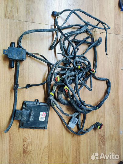 Эбу на гбо brc