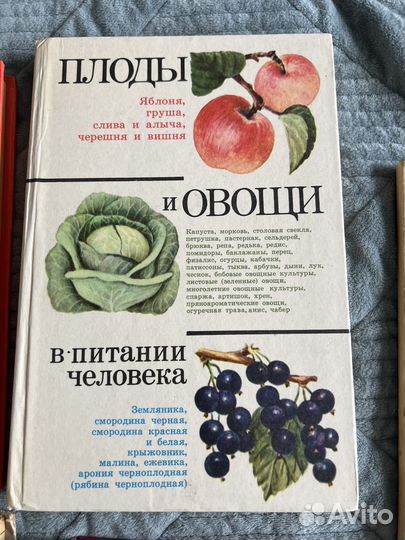 Книги по кулинарии СССР