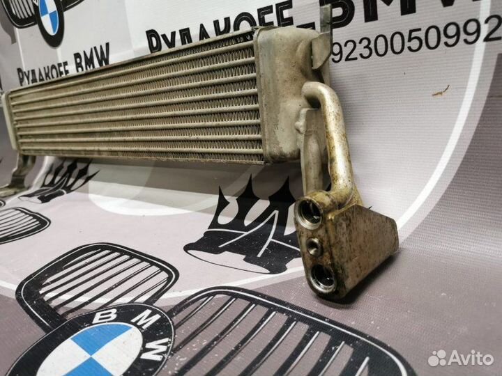 Радиатор масляный Bmw X5 E53 N62B48 2005