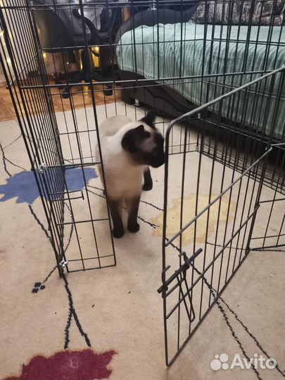 Клетка вольер для собак бу