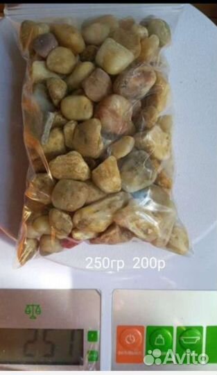 Ракушки и камешкиЧерноморские