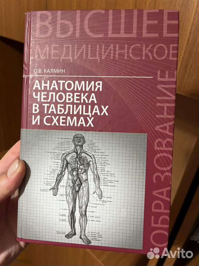 Анатомия человека