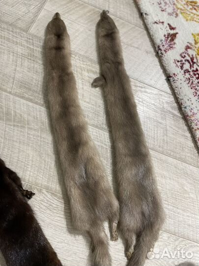 Шкурки норки