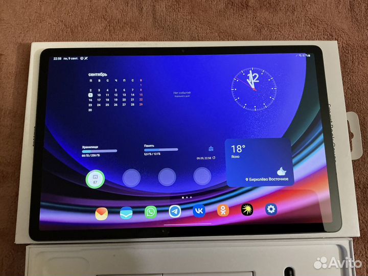 Samsung galaxy Tab S9 plus 256 gb