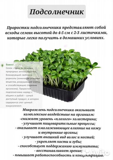 Микрозелень, набор для выращивания