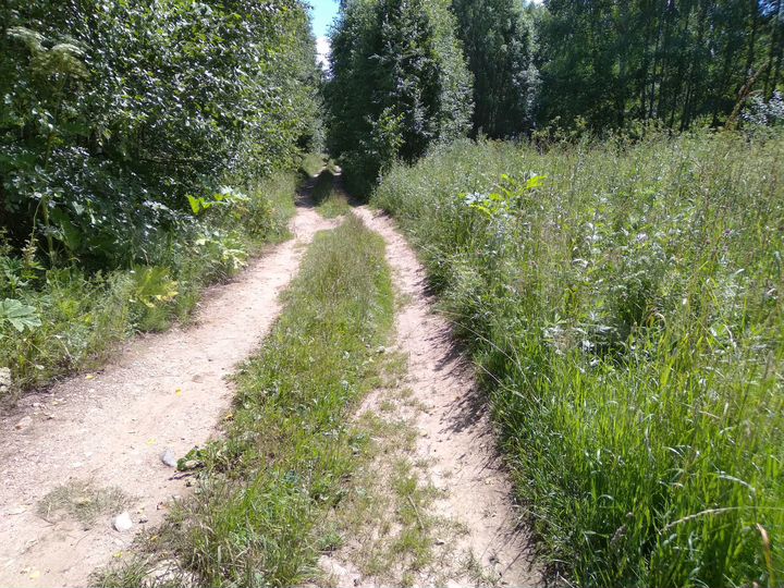 Участок 19 га (СНТ, ДНП)