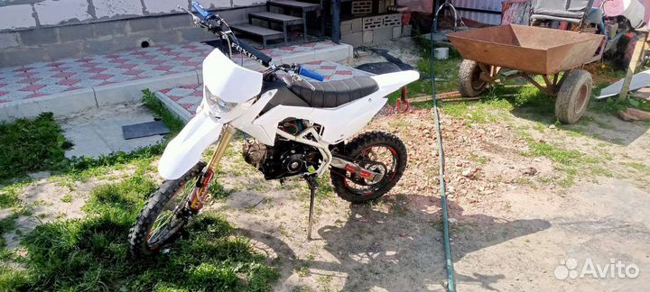 Фокс 124
