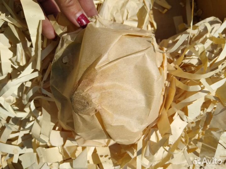 Тх1А тахометр ост 37.003.004.70