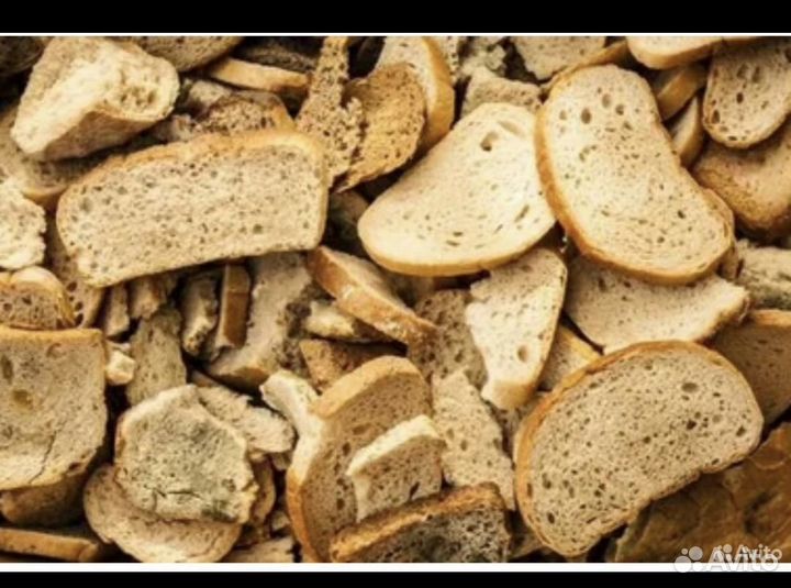 Корм для животных