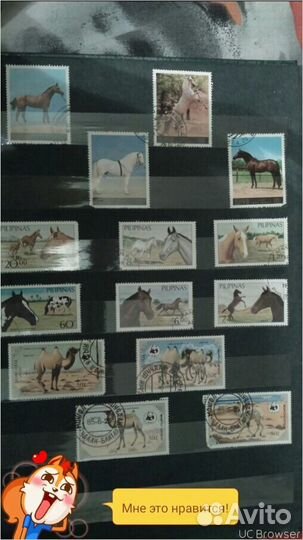 Продам кляссер с марками