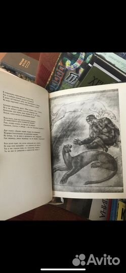 Руставели Шота. Витязь в тигровой шкуре