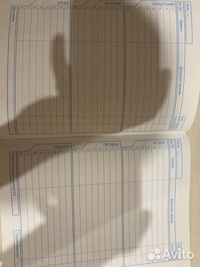 Дневник школьный