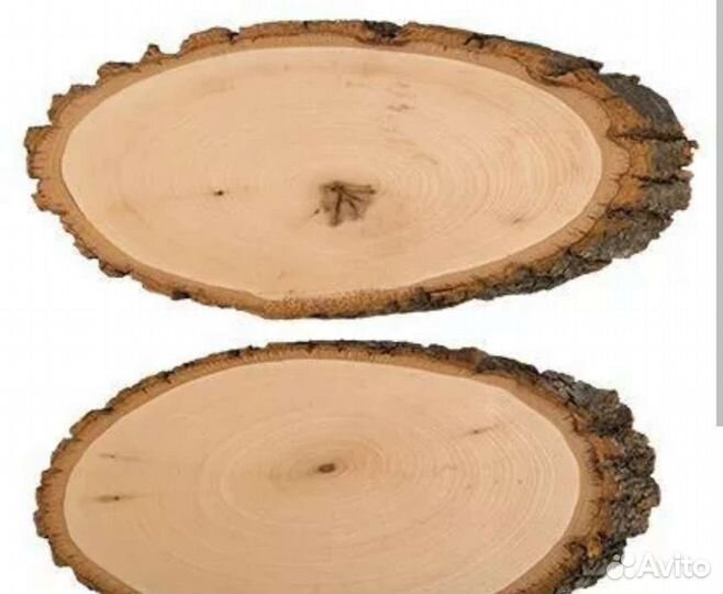 Спилы дерева