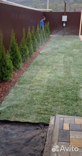 Система автополива