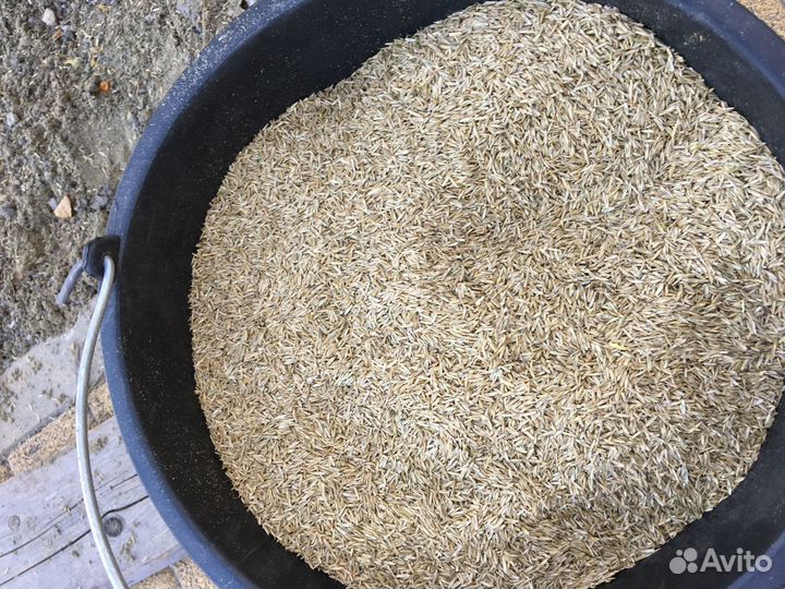 Семена газонной травы, 20 кг