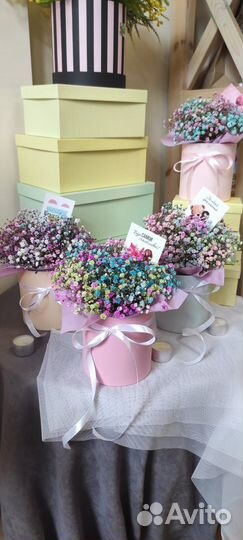 Живые цветы букеты композиции из цветной гипсофилы