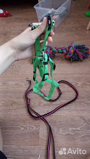 Игрушки и амуниция доя собак