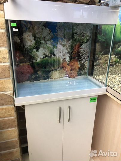 Аквариум 60 литров