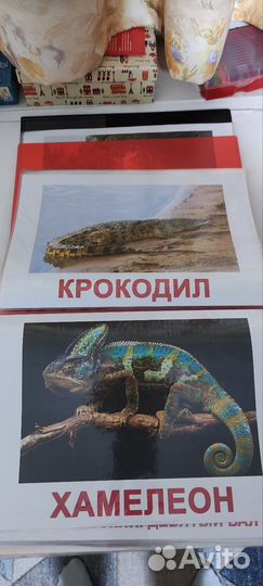 Дидактический материал для оформления группы