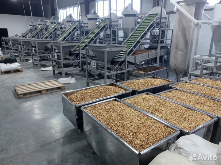 Кедровый орех очищенный