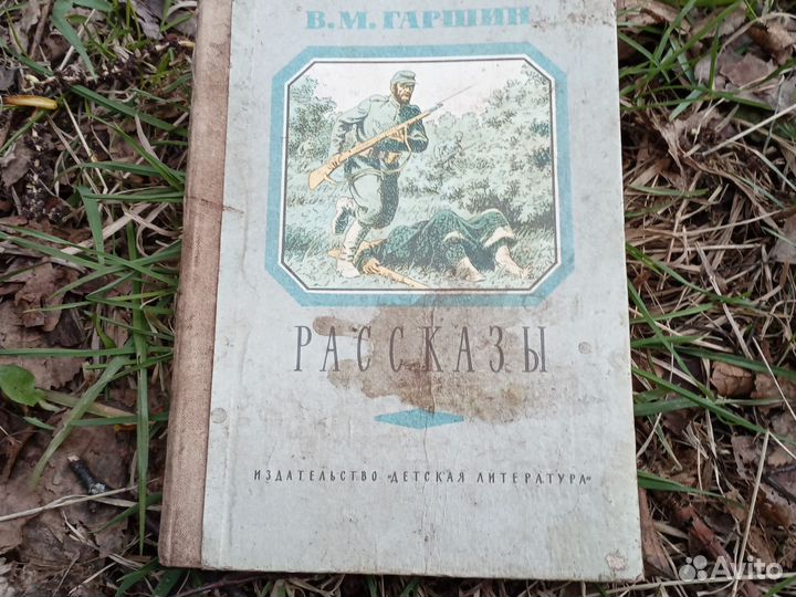 Книга В. М. Гаршина