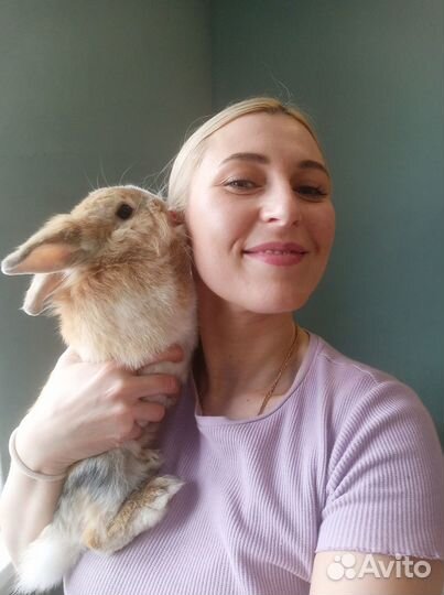 Гостиница/Передержка мелких собак, птиц и грызунов