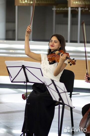 Репетитор по скрипке и сольфеджио очно и онлайн