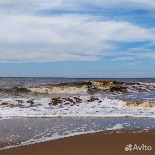 Организация морской рыбалки. Отдых на Белом море