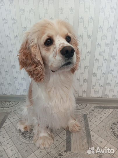 Ищем подругу