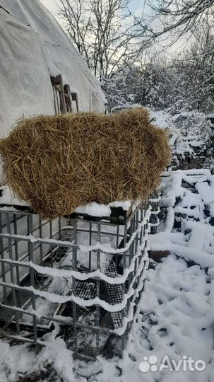 Разнотравье