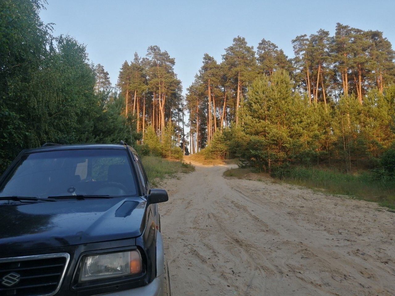 Suzuki Vitara: фото владельца