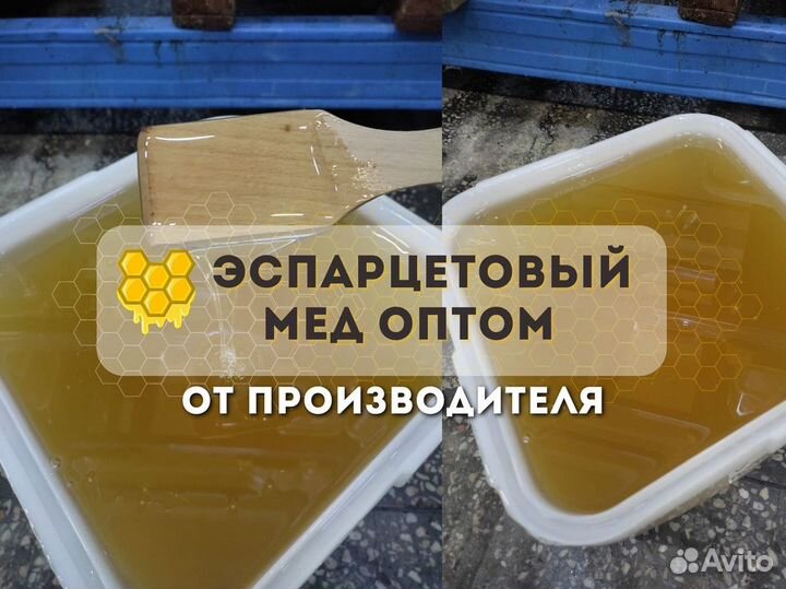 Свежий мёд эспарцет Качка 2023 год Опт