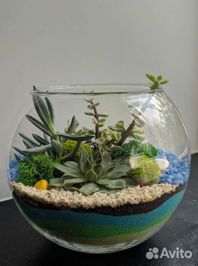 Флорариум с суккулентами