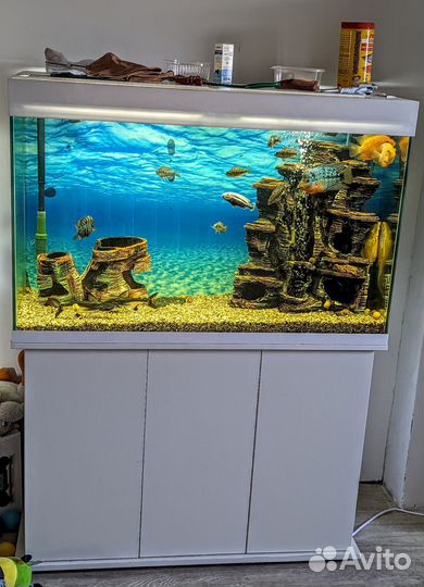 Аквариум 240л комплект с фильтром