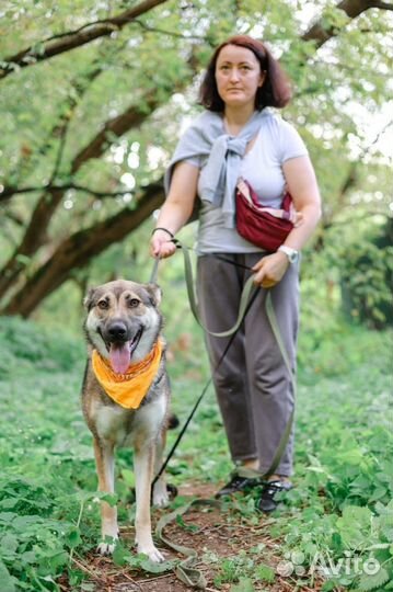 Молодая умка ждет своего человека