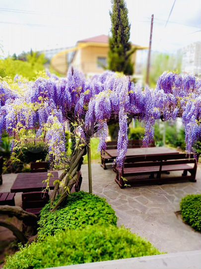 Коттедж 150 м² на участке 10 сот.