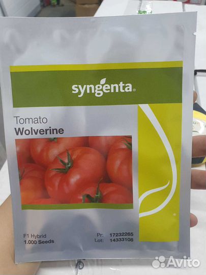 Семена томат Волверин (1000с) Сингента