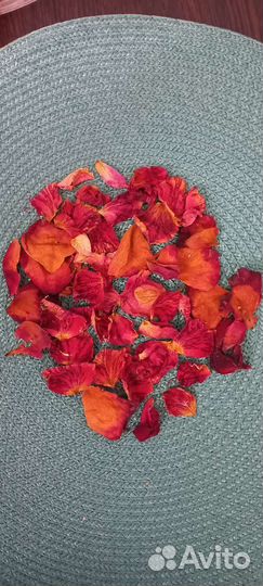 Лепестки роз. Сухоцвет. Творчество