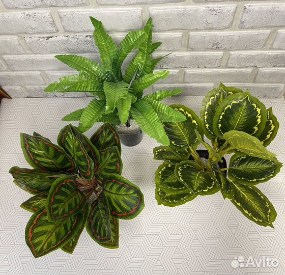 Искусственные растения 3 шт