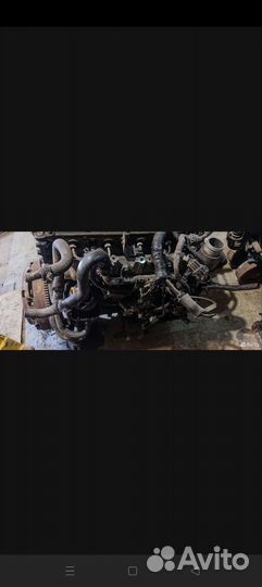 Двигатель nissan NP300 Navara d22, Pathfinder