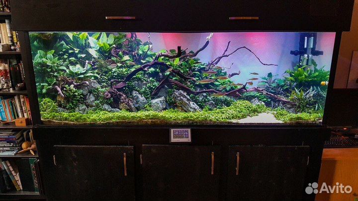 Коряги для аквариума,композиции,бонсай