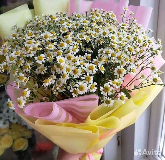 Ромашки Пионы Розы Доставка