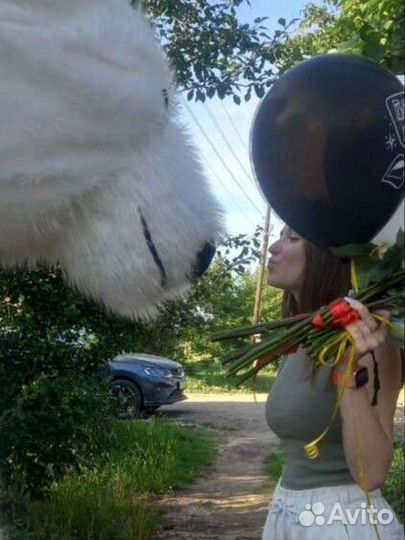 Ростовые куклы Энгельс/Саратов