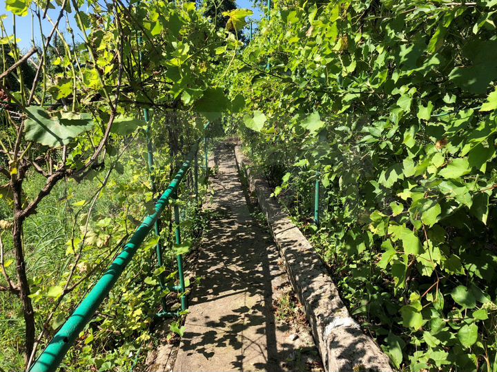 Дача 59,2 м² на участке 7 сот.