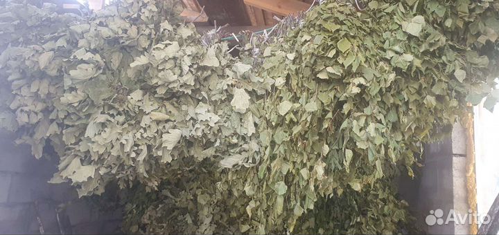 Веники для бани