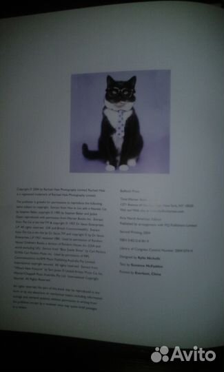 101 cataclysms rachael hale