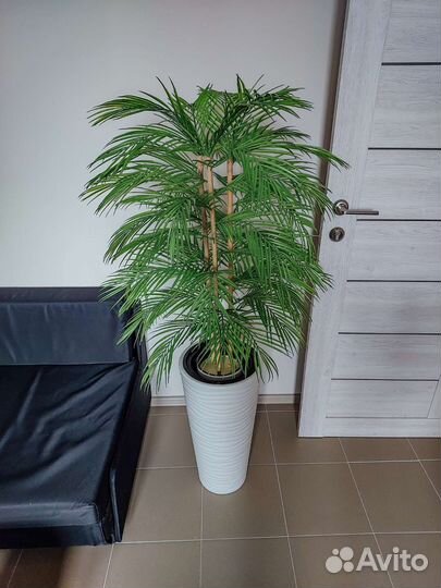 Искусственная пальма