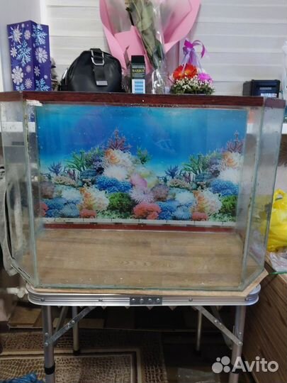 Аквариум