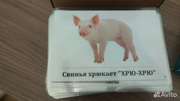 Карточки развития речи, книги развития речи